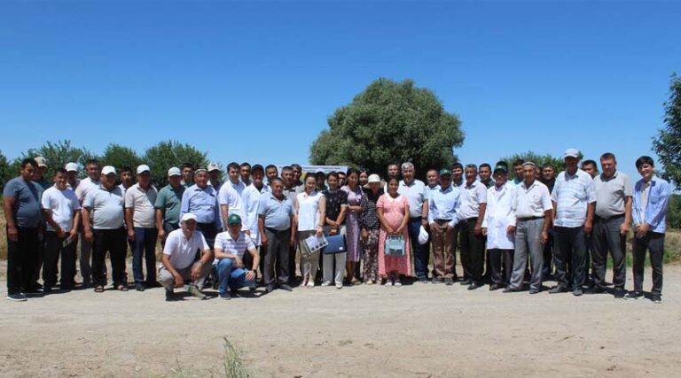 Farmers Field Day on Crop Diversification in the Aral Sea Region in Uzbekistan