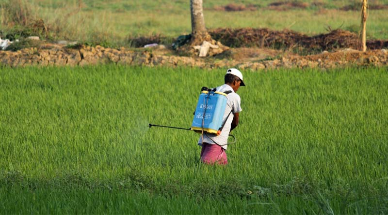 Policy Gaps in Crop Protection Sector Threaten India's Food and Feed Security