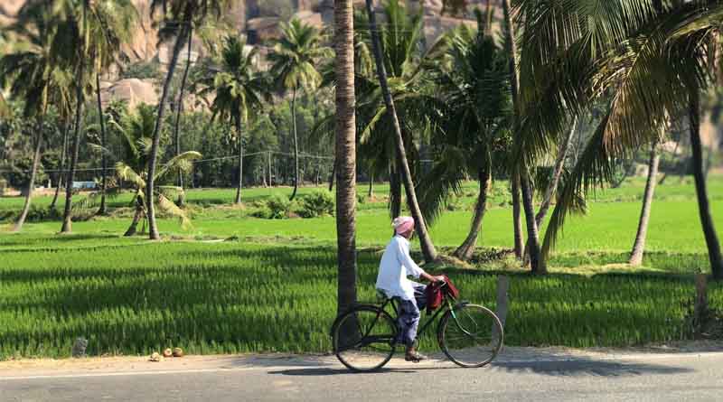 KAKV Foundation Urges Strategic Reforms in Crop Nutrient Supply for India's Food Security