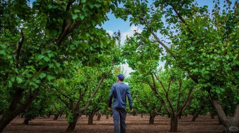 ADAMA Continues Support for EU Growers Following 15 Year Renewal of Folpet and Captan