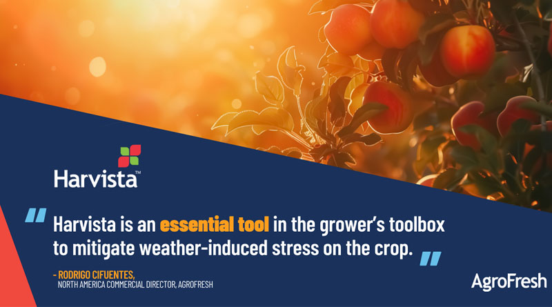 High Temperatures Threaten Apple Orchard Output in Major Growing States: Harvista™ Offers Solution for Growers