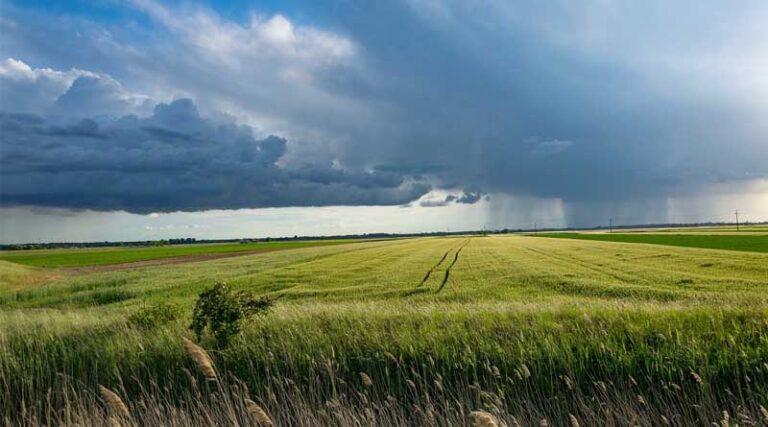 Cabinet Accords Approval for Progressive Expansion of Central Sector Scheme of 'agriculture Infrastructure Fund'