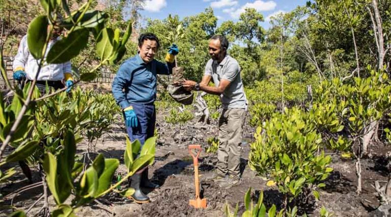 In Timor-Leste, FAO Director-General visits Mangrove Study Center