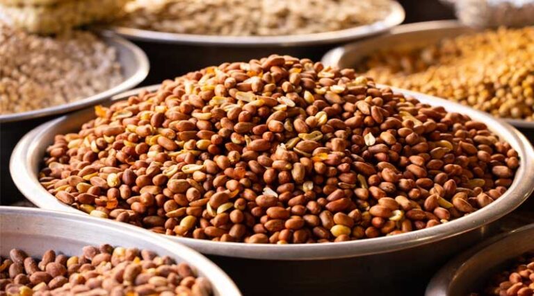 How Does Ministry of Food Processing Industries Promotes Startups in the Food Processing Sector