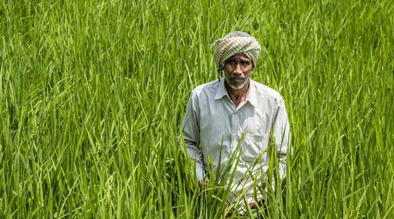 Budget 2024-25: What's in It for Rural India?