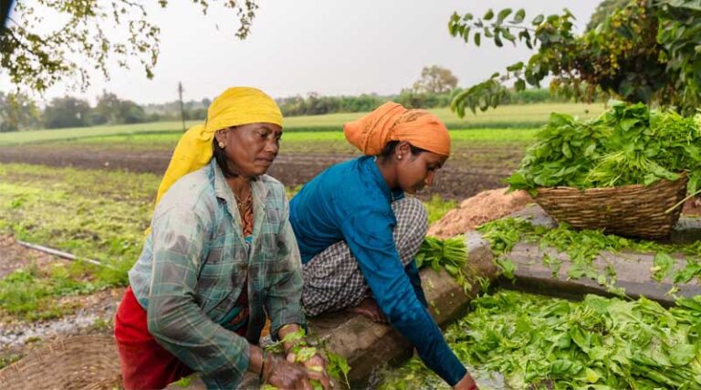 More Than 10 Crore Women Given Benefit Under Lakhpati Didi Scheme