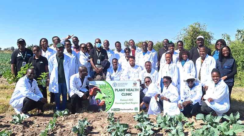 CABI and FAO Collaborate to Launch Plant Clinics in Namibia