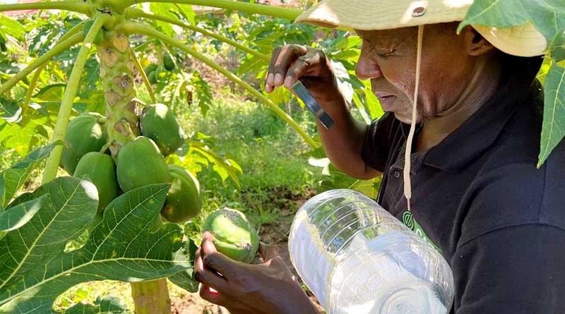 CABI Scientists Share Expertise on Digital Tools to Fight Crop Pests at RUFORUM Triennial Scientific Conference