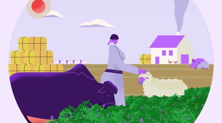 Alfalfa: A Story of Versatility