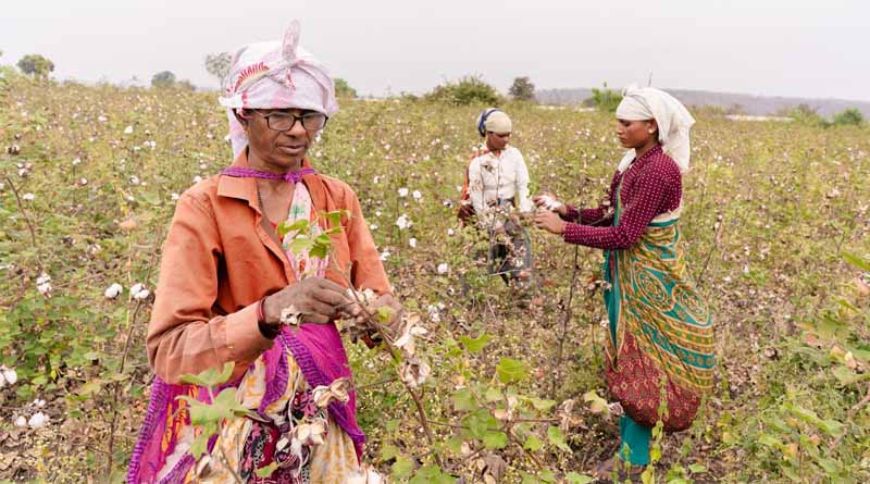 Secretary Agriculture Discusses Improving Accuracy of Crop Area Estimation in India