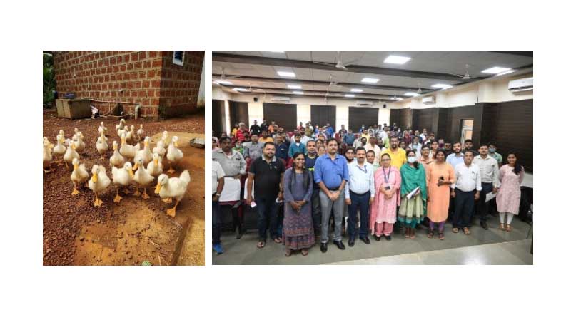 Entrepreneurship Development Through Diversified Poultry Farming and Hatchery Management