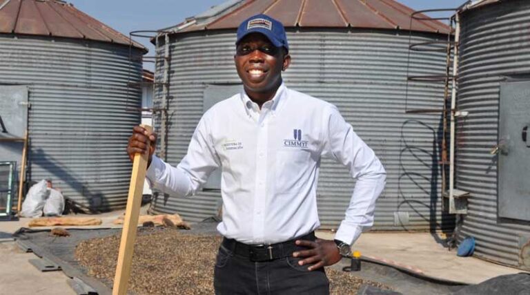 World Food Prize Foundation Recognizes CIMMYT Experts as Agri-Food Pioneers in the 2024 TAP List