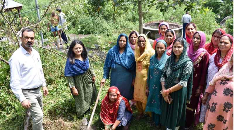 'Plant 4 Mother' Campaign Extended to Adopted Village by CSKHPKV
