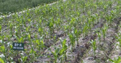Linking Sustainable Agricultural Methods