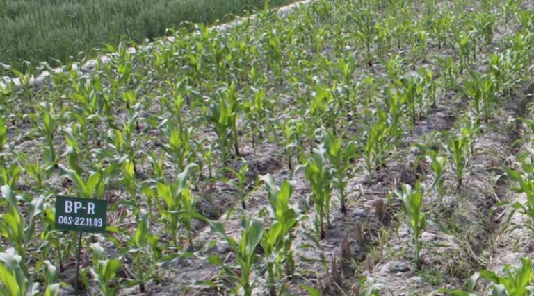 Linking Sustainable Agricultural Methods