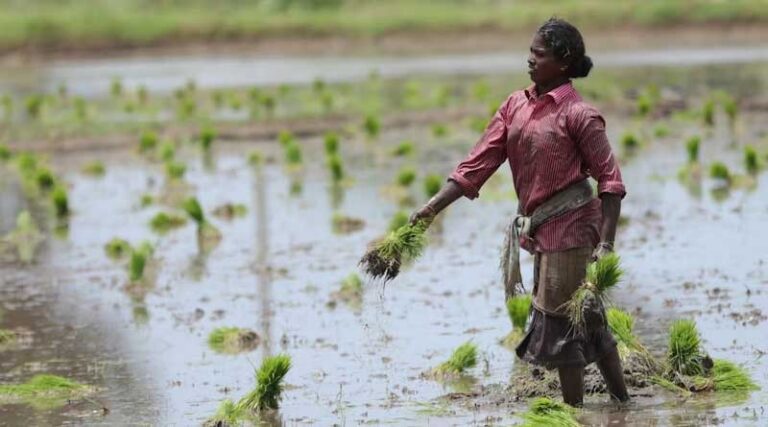 Carbon Trading Mechanism in Indian Agriculture