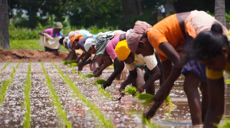 New Schemes Implemented by Government of India for Farmers