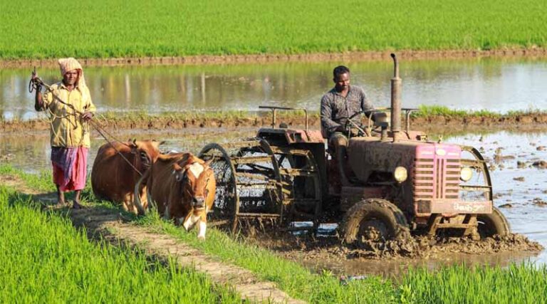 1.7 Crore Farmers Enrolled on e-NAM Platform
