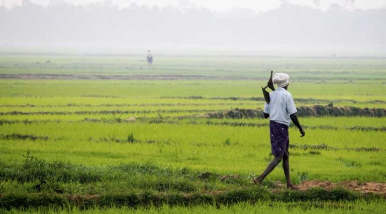 Is There Any Financial Assistance to Farmers Doing Organic Farming in India?