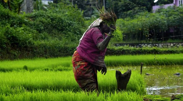 Government Schemes for Farmers for Additional Income