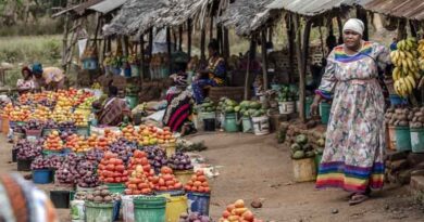 Healthy Diets Remain Unaffordable for a Third of the World’s Population