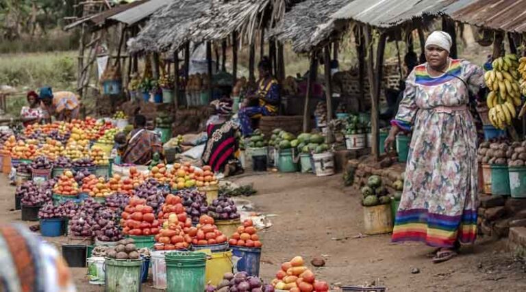 Healthy Diets Remain Unaffordable for a Third of the World’s Population