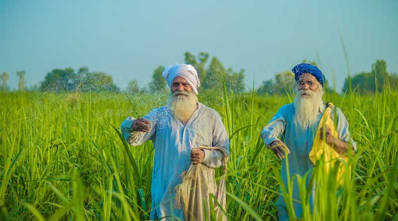 Learning from Punjab: Central India's Path to Sustainable Water Use in Agriculture