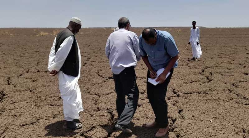 Helping Farmers Access Waterlogged Agricultural Lands Amid Prevailing Food Insecurity in Sudan