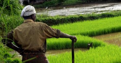 Understanding on Indian Government’s Special Packages on DAP Fertiliser