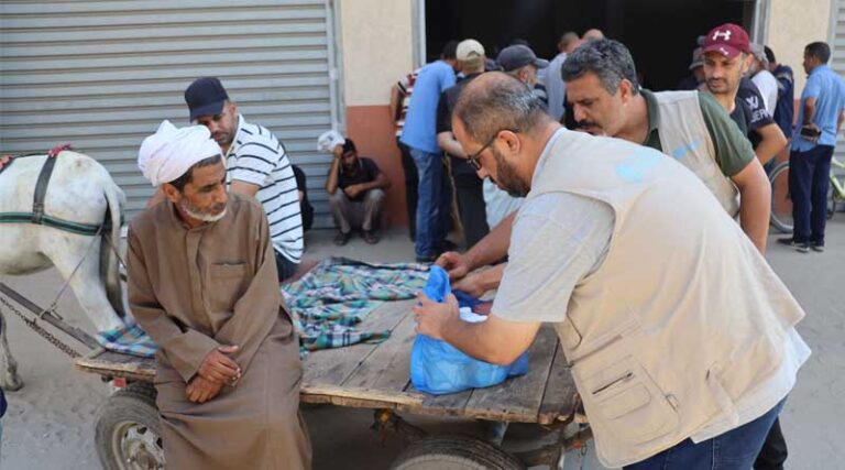Gaza: FAO Delivers More Than 2 400 Veterinary Kits to Protect Livestock and Sustain Livelihoods
