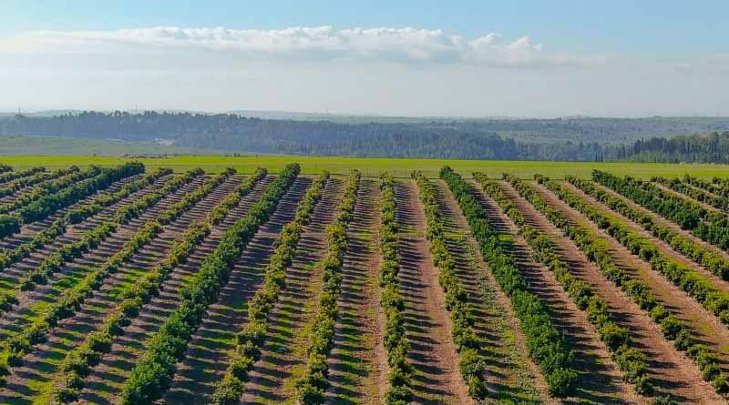 Embracing the Journey Toward Sustainability