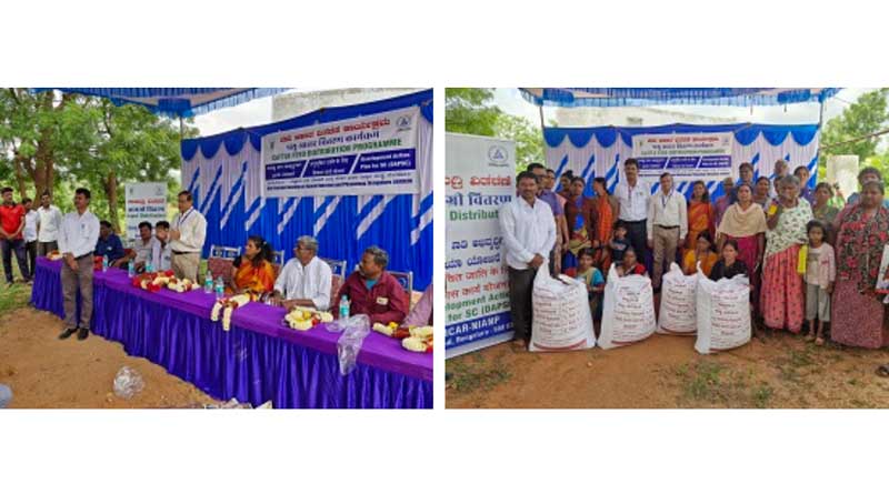 Distribution of Concentrate Feed at Farmers Door Step under the DAPSC Scheme