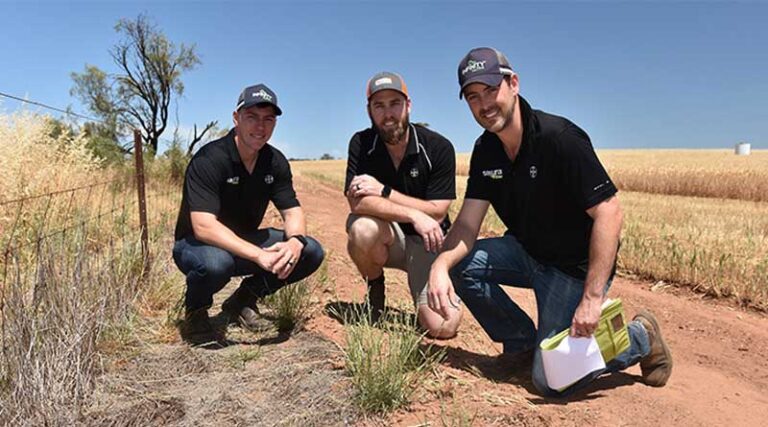 Using Residual Herbicides Beating Fence Line Weeds Resistance