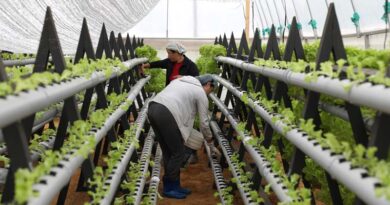 Growing Food Out of Water in Bhutan