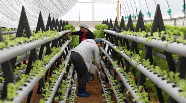 Growing Food Out of Water in Bhutan