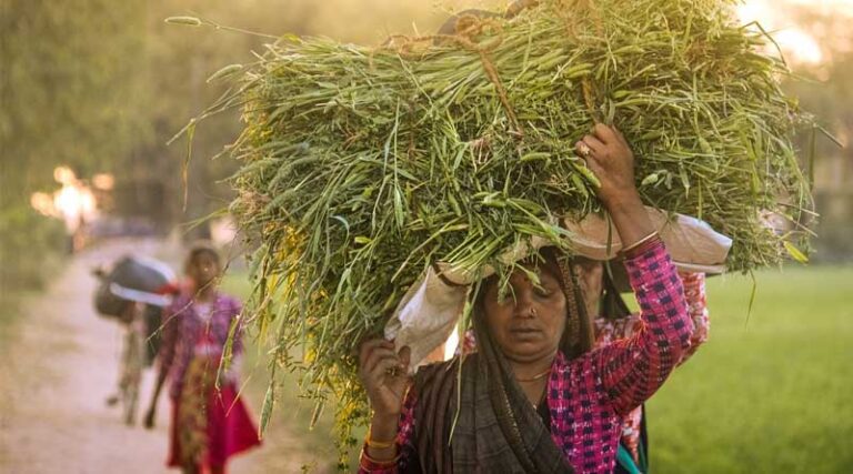 Socially Secured Villages: A Vision for Inclusive and Protected Communities