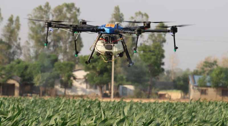 Harnessing the Benefits of Commercial Agriculture