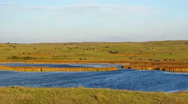 Cargill and Ducks Unlimited Working Together to Restore Watersheds Across North America