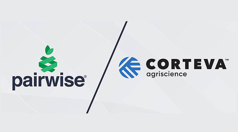 Corteva, Pairwise Join Forces to Accelerate Gene Editing, Advance Climate Resilience in Agriculture