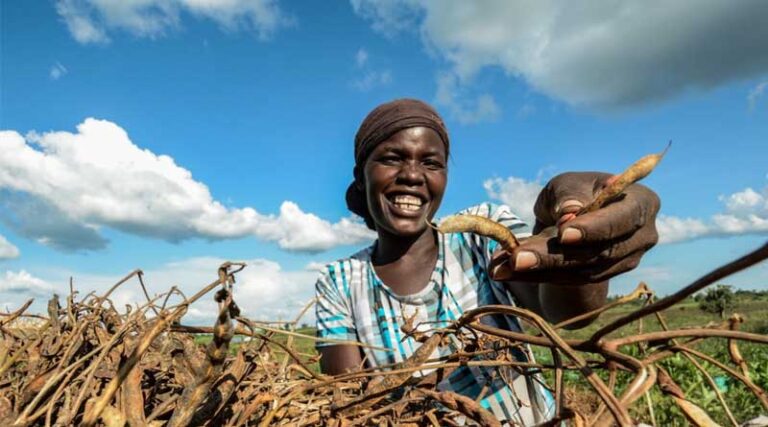 A Just Transition in the Agrifood System