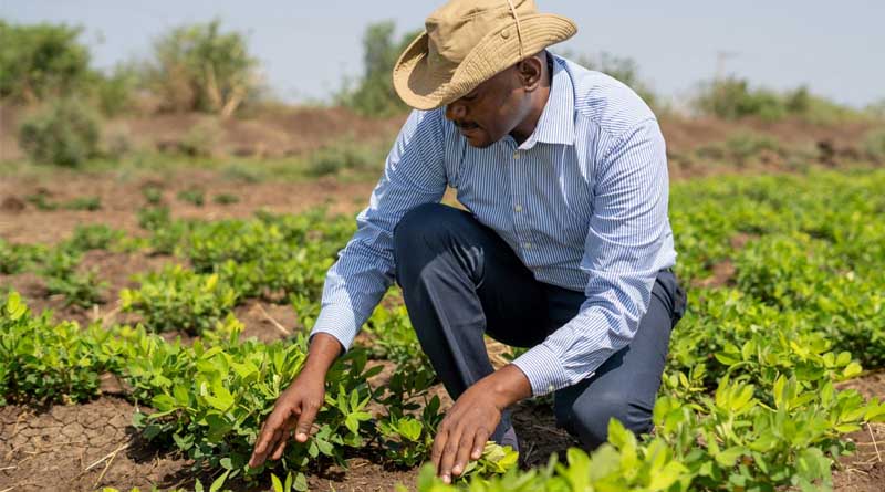 The Sudan Food Security Initiative: Early wins amidst conflict and crisis