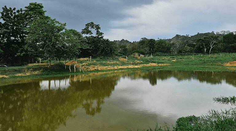 the Place of Agriculture in Peace