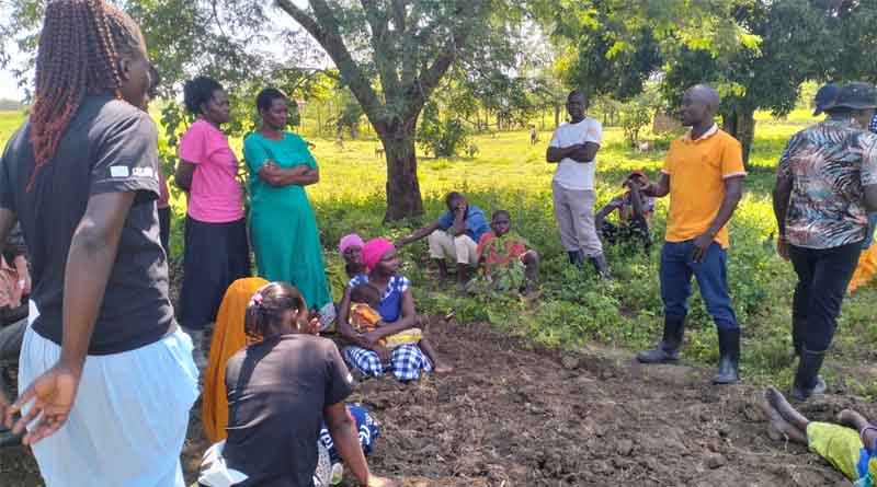 Inclusive Communication Campaigns Drive the Adoption of Improved Seeds in Uganda