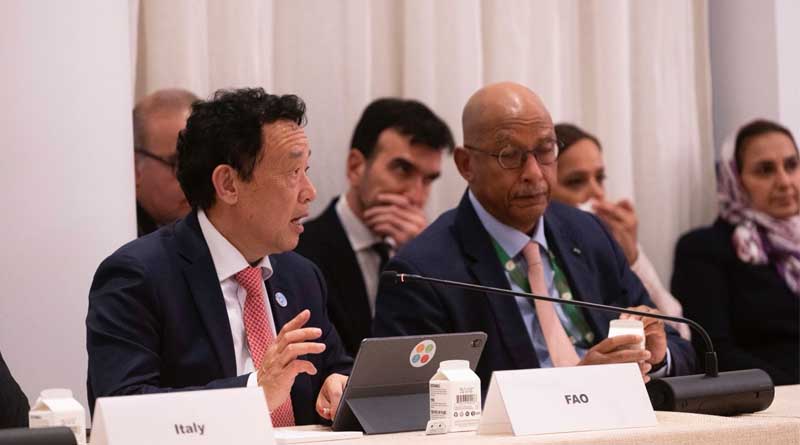UNGA79: FAO Chief Emphasizes the Centrality of Climate Solutions for Agrifood Systems Transformation