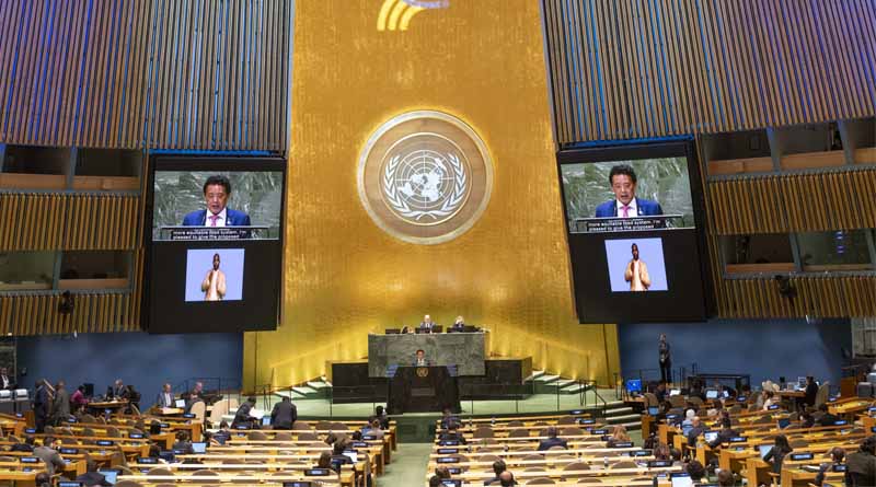 UNGA79: FAO Welcomes Adoption of UN Pact for the Future