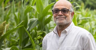 Prof Prabhu Pingali Elected as Foreign Fellow of the Indian National Science Academy