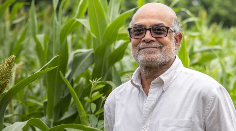 Prof Prabhu Pingali Elected as Foreign Fellow of the Indian National Science Academy