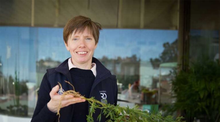 National Initiative to Enhance N Fixation in Pulses