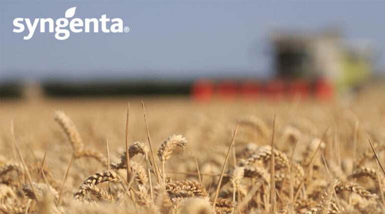 GRAHAM: Another Cracking Year for This Old Favourite, With Exceptional Performance on Western Sites