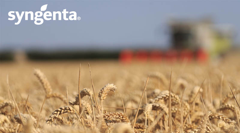 GRAHAM: Another Cracking Year for This Old Favourite, With Exceptional Performance on Western Sites